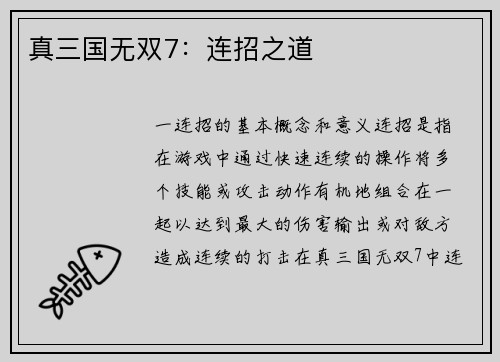 真三国无双7：连招之道